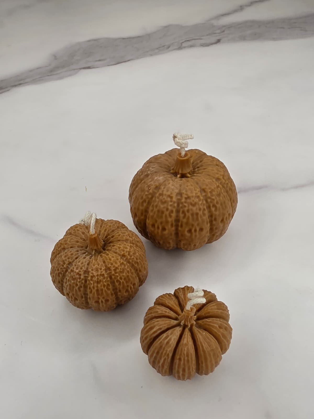 Pumpkin patch