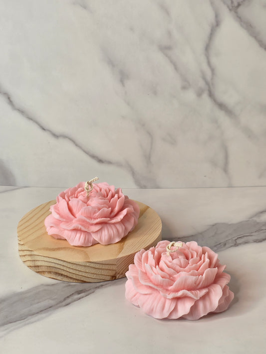 Pinky soft bloom