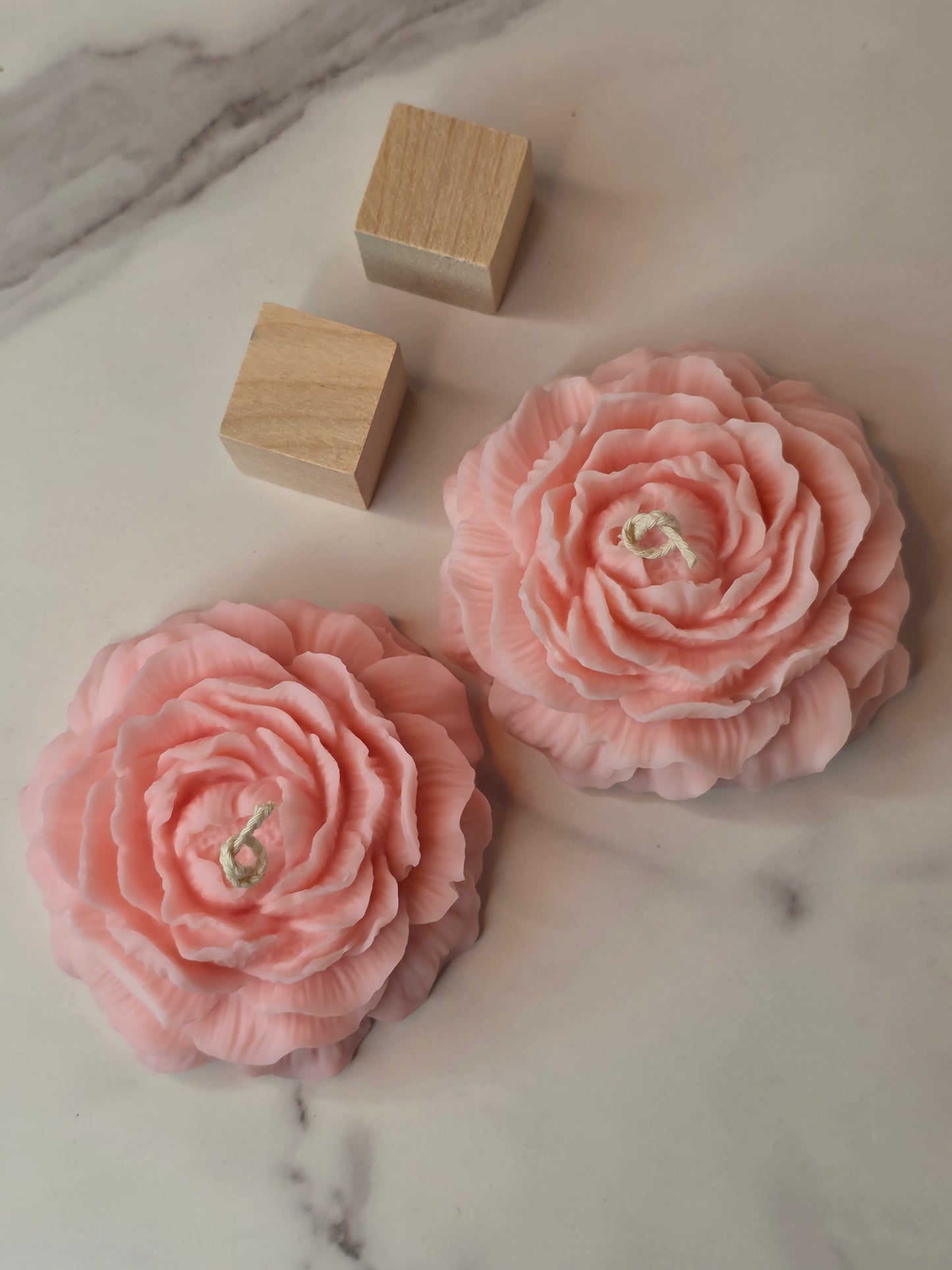 Pinky soft bloom