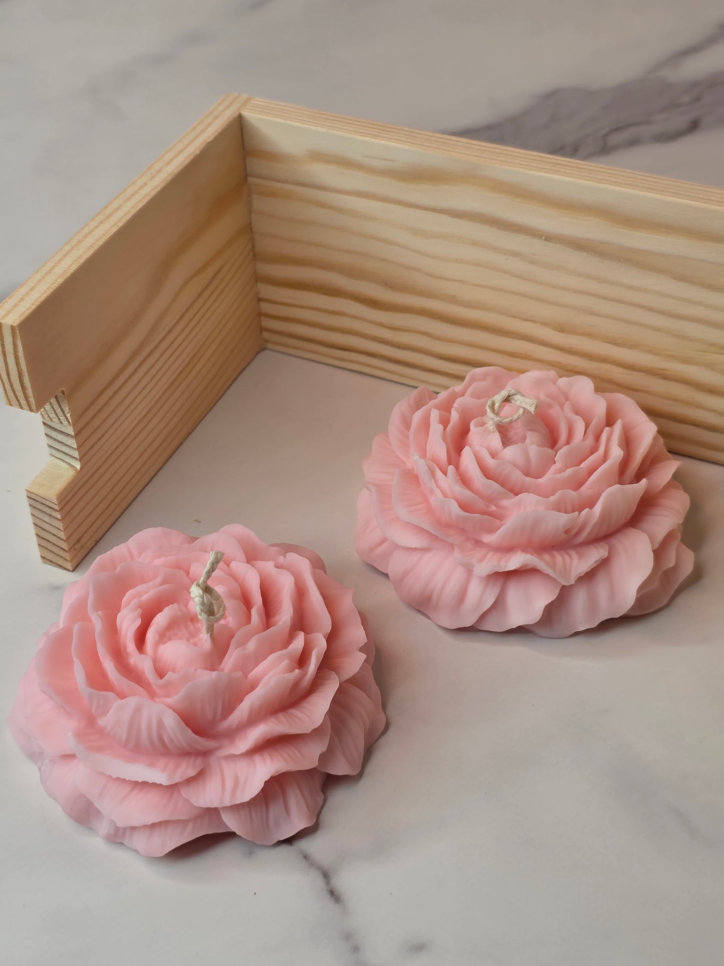 Pinky soft bloom