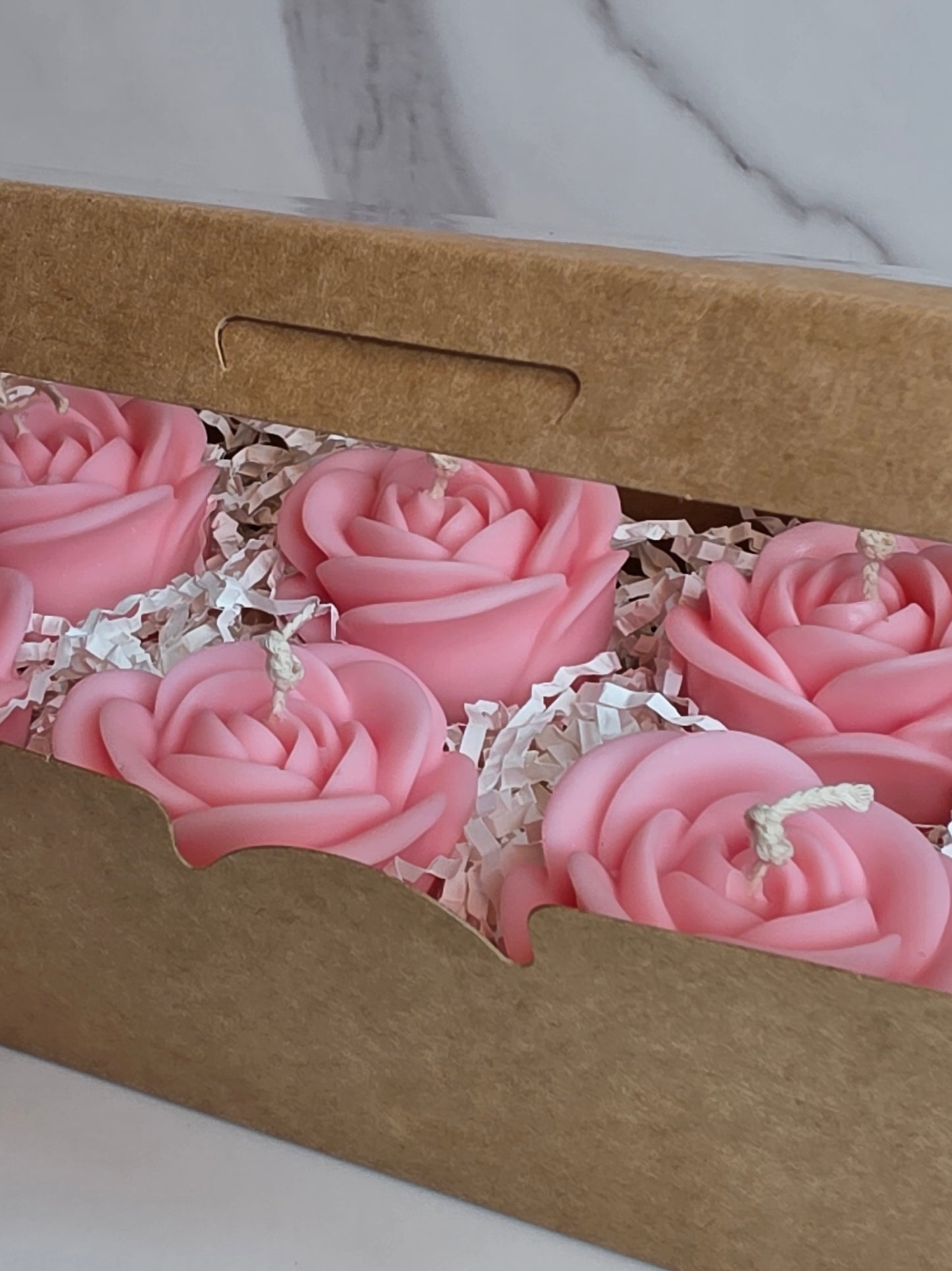 Blush Rose