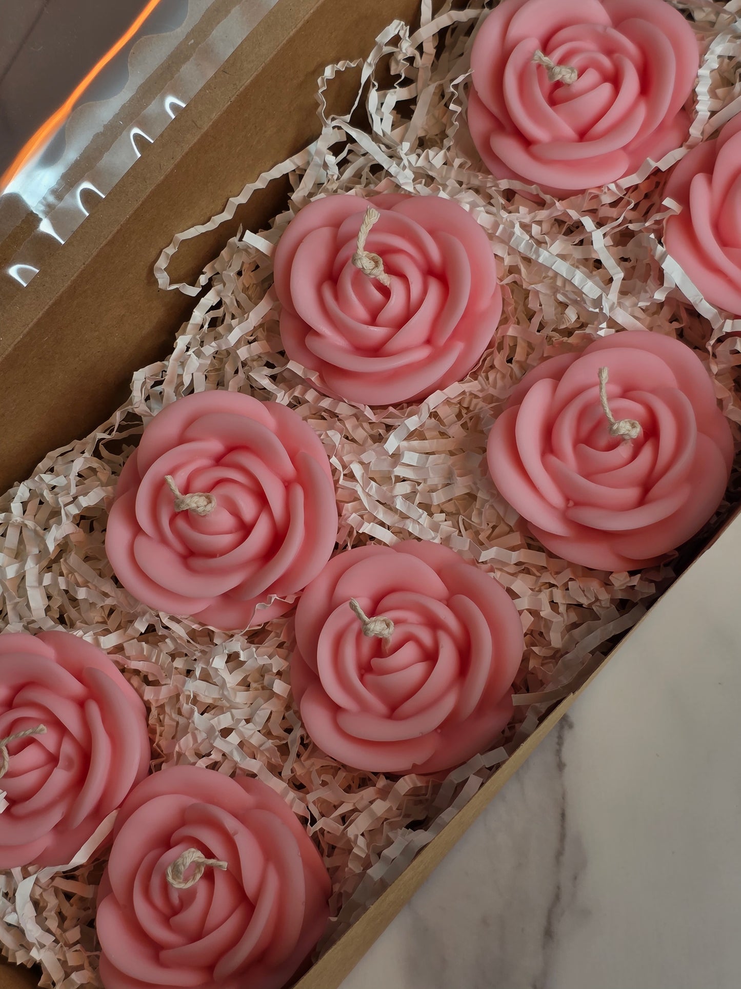 Blush Rose