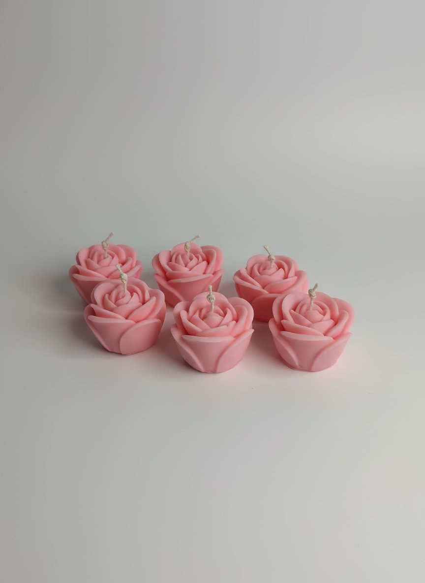 Blush Rose