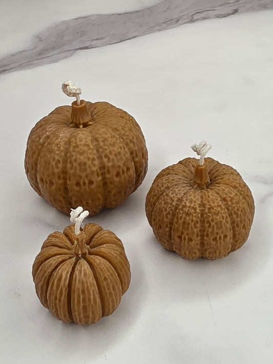 Pumpkin patch