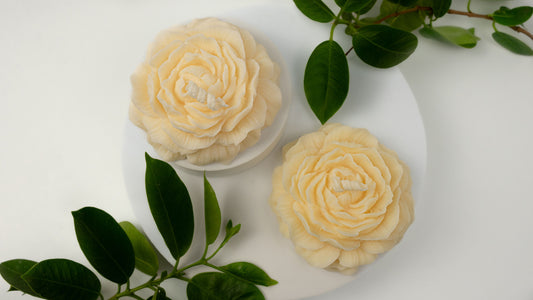 Soft bloom