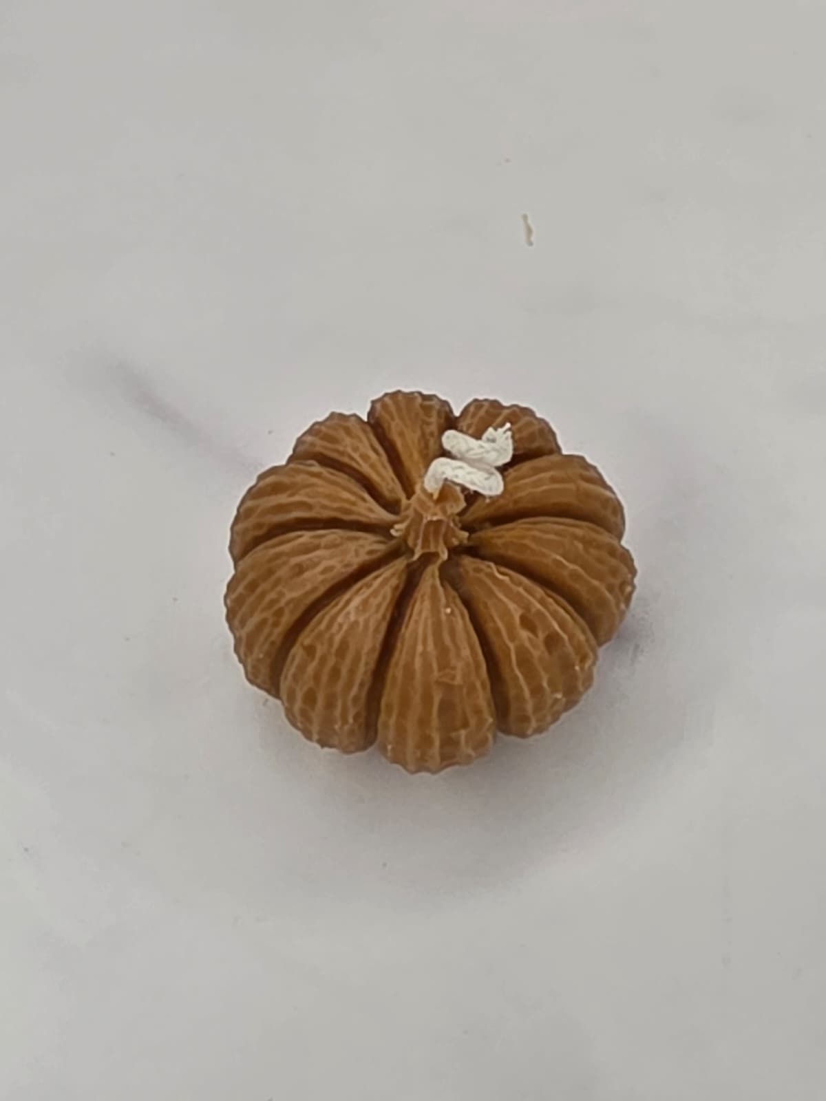 Pumpkin patch